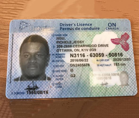 Buy Canada Driver License Online
