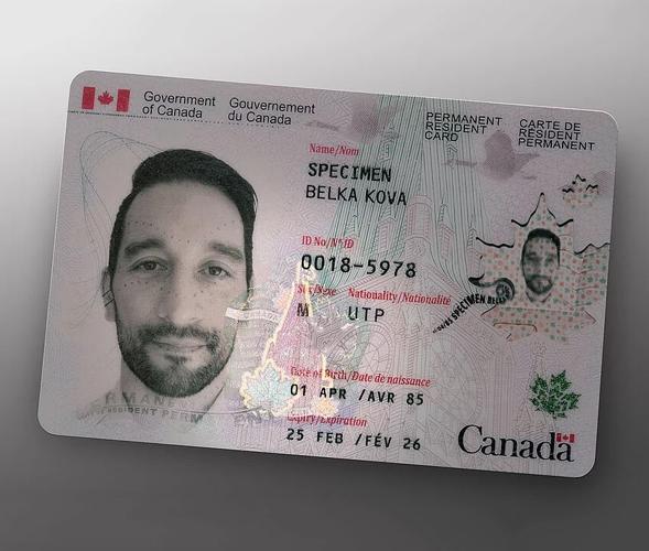 Buy Canadian ID Card Online